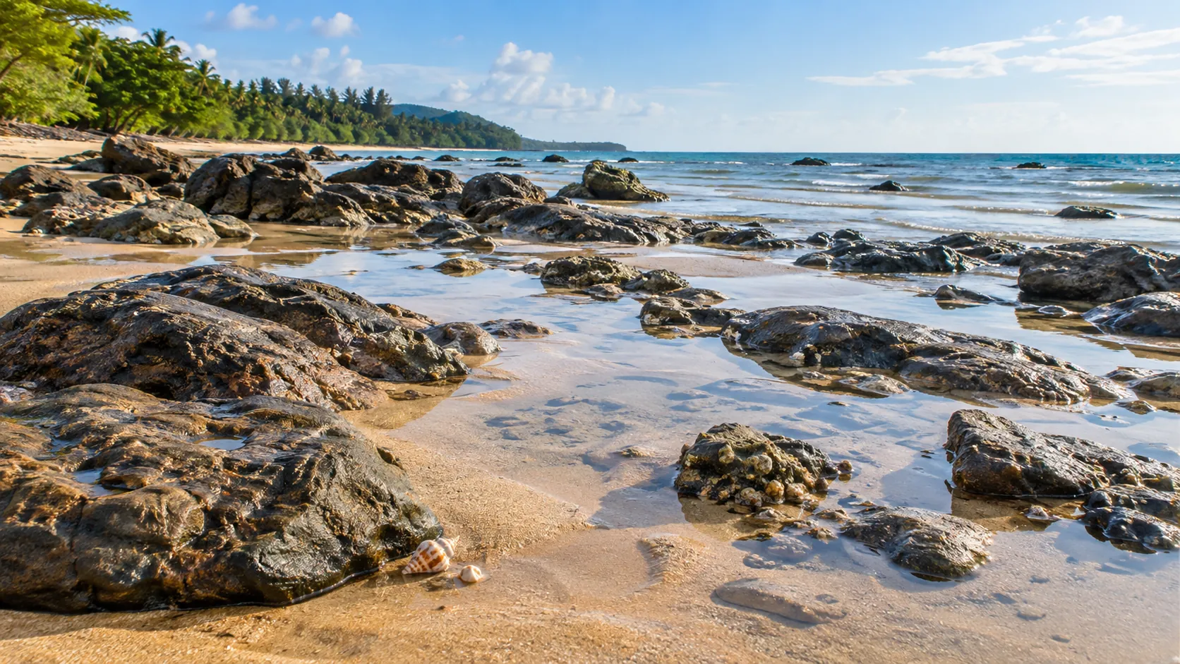 Freiliegende dunkle Felsen und flache Wasserflächen am Sandstrand bei Ebbe
